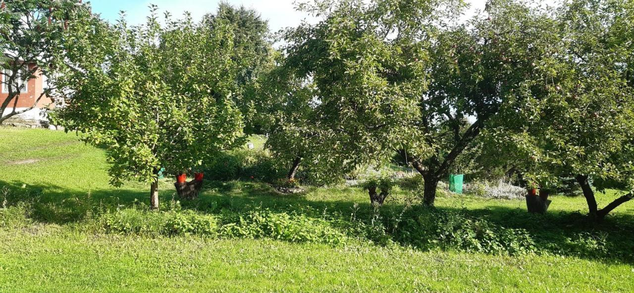 Agroturystyka Nad Czarnym Giby Εξωτερικό φωτογραφία