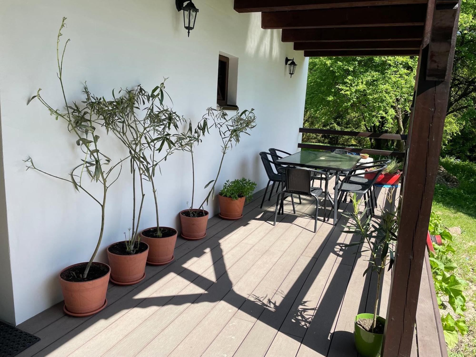 Agroturystyka Nad Czarnym Giby Εξωτερικό φωτογραφία
